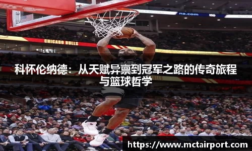 jn江南·体育登录入口